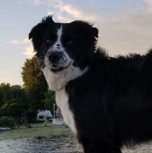 Meet your Posher, Debra